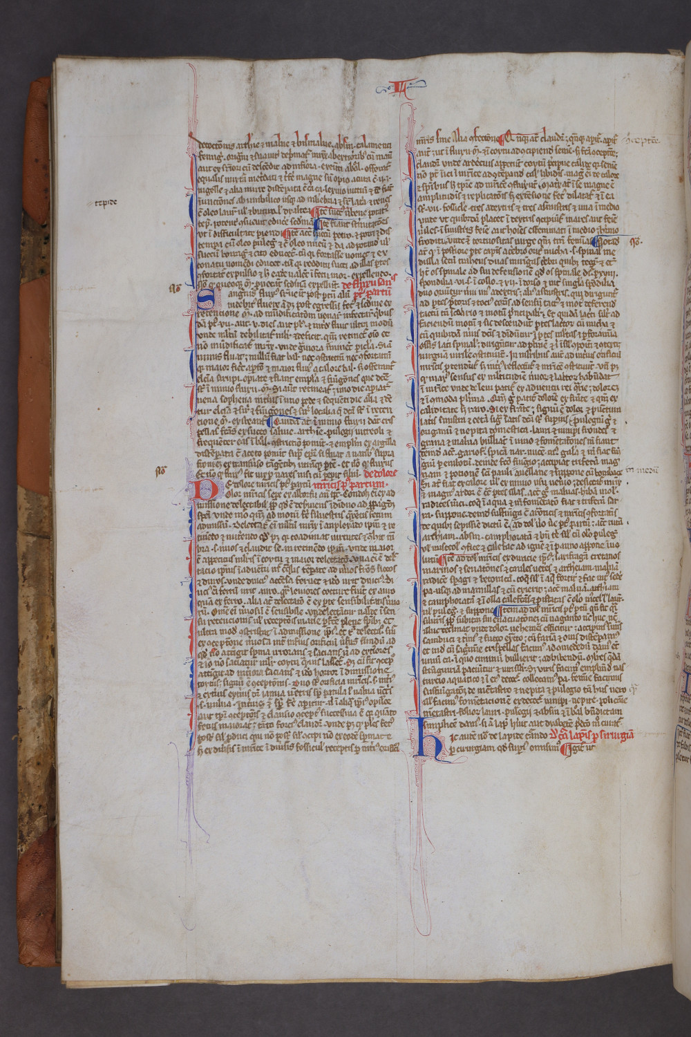Folio 141 verso